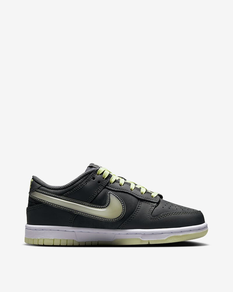 Nike Big Kids' Dunk Low HQ3569-068 Black 3