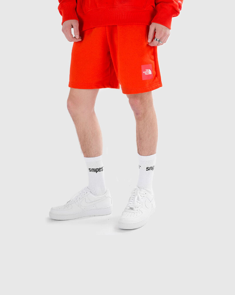 north face never stop shorts
