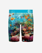 Ethika Shadow Tip Briefs  MSUAAF2607 Multi 3