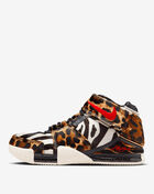 Zoom LeBron II LX QS