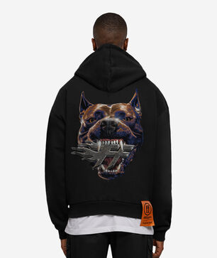 Forgotten Pit Bull Hoodie