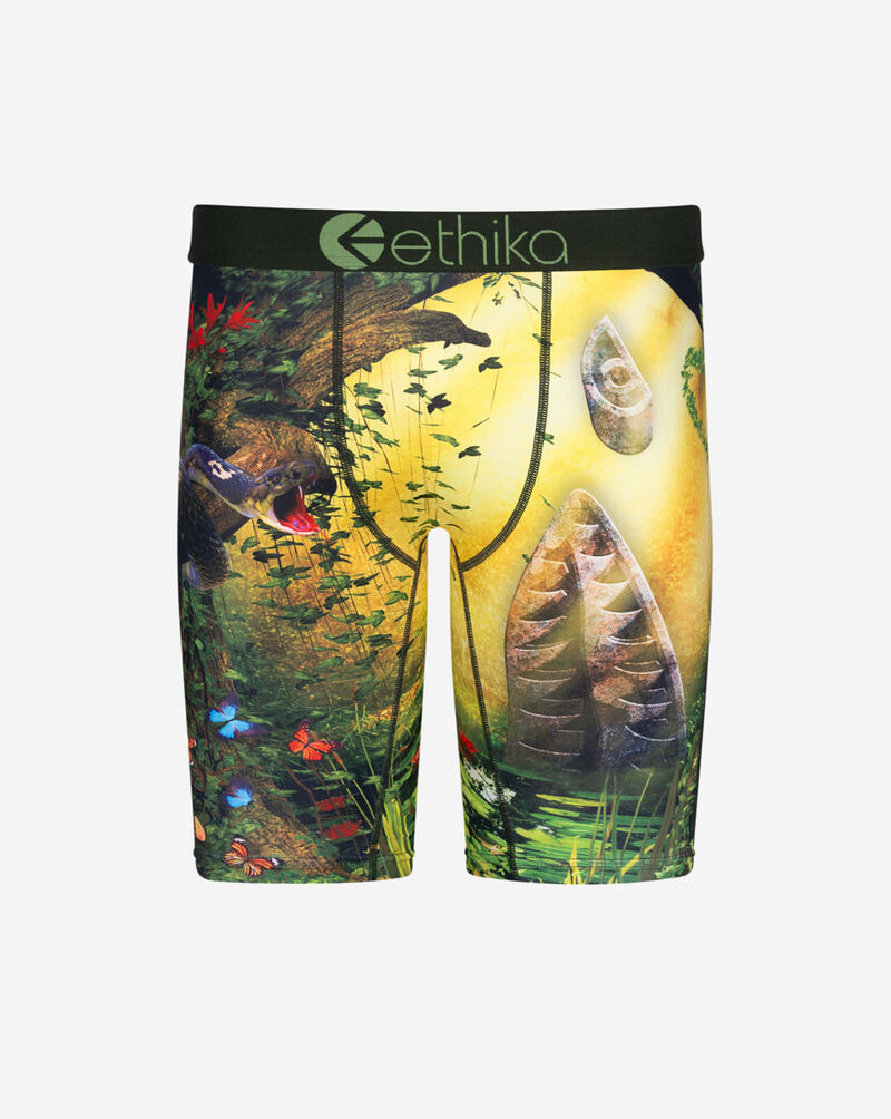 Ethika BMR Petra Briefs MLUS3502 Multi 1