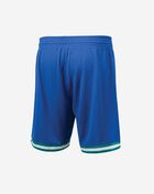Mitchell & Ness Dallas Mavericks 98-99 Road Swingman Shorts SMSHGS18227-DMAROYA98  2