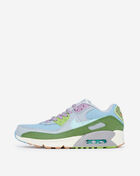 Grade School Air Max 90 SE