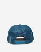 Charlotte Hornets Puff the Magic Trucker