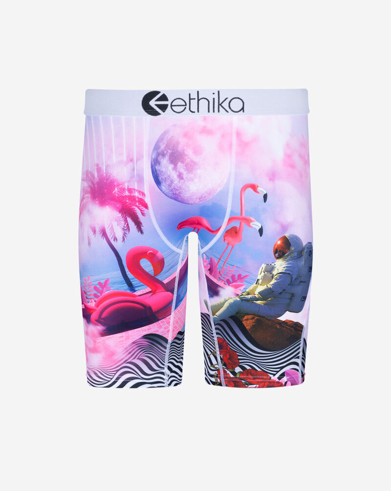 Ethika Grade School On Holiday Briefs BLST2521 Multi 1