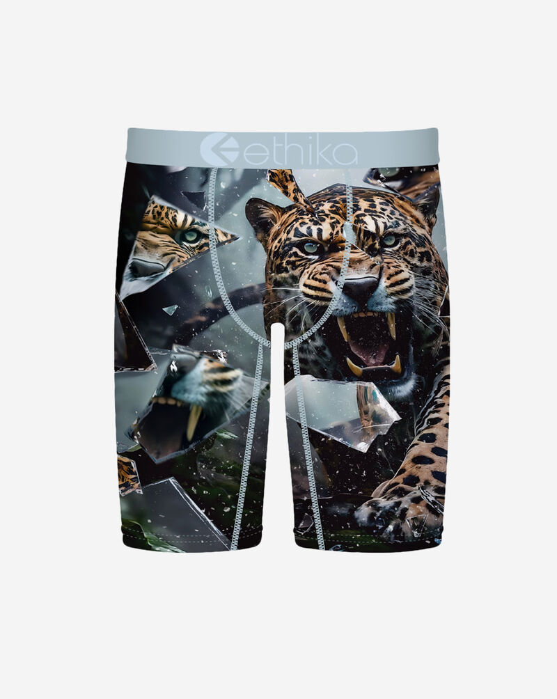 Ethika Shatter Cat Briefs MFAAAI2513 Multi 1