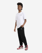 Jordan Big Kids' Fleece Pants 95F113-023 Black 3