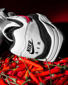 Air Max 1