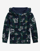 Plaid Fleece Graphic Hoodie