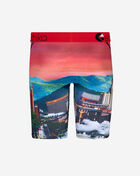 Grade School Astro Zoo Briefs