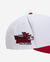 9Fifty Boston Red Sox Fire Red A-Frame Snapback Hat