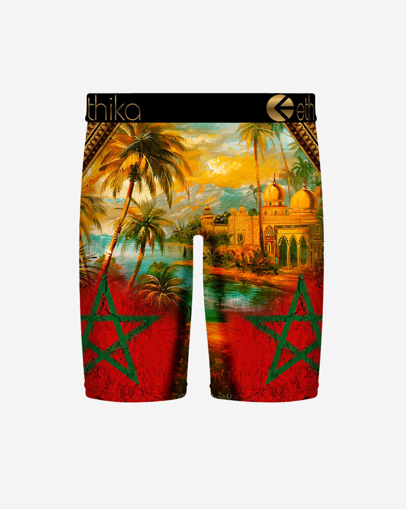 Ethika Where We Came From Briefs MFMAAC2501 Multi 2