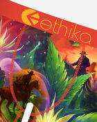 Ethika Western Highline Briefs MLUS3550 Multi 2