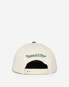 Boston Celtics Reframe Retro Snapback