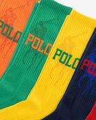 Polo Ralph Lauren Big Pony 6Pk Crew Socks (L) 821663PK3-993 Multi 2