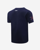Detroit Tigers Mash Up Tee