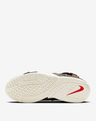 Zoom LeBron II LX QS
