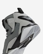 Jordan True Flight 342964-025 Grey 8