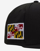 New Era 59Fifty Delmarva Shorebirds Fitted Hat 60684973 Black 2