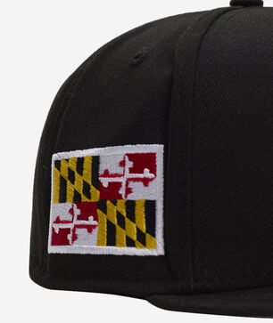 59Fifty Delmarva Shorebirds Fitted Hat