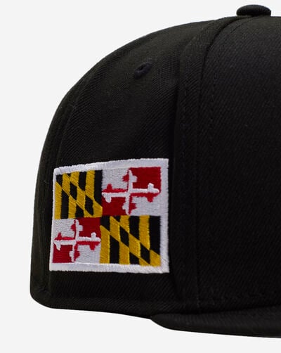 59Fifty Delmarva Shorebirds Fitted Hat 59Fifty Delmarva Shorebirds Fitted Hat