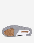 Air Jordan 3 Retro