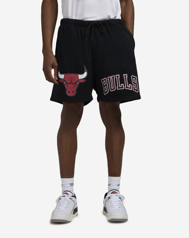Chicago Bulls Mesh Shorts