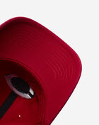 Cincinnati Reds Dad Cap 