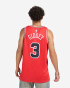 Nike Josh Giddey Chicago Bulls Icon Edition Swingman Jersey DN2000-667 Red 2