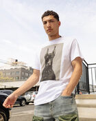 Graphic Tees Dawg Tee MT3039-US White 4