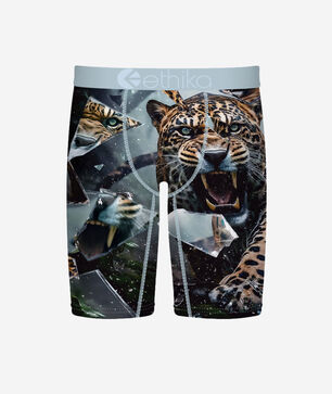 Grade School Shatter Cat Briefs