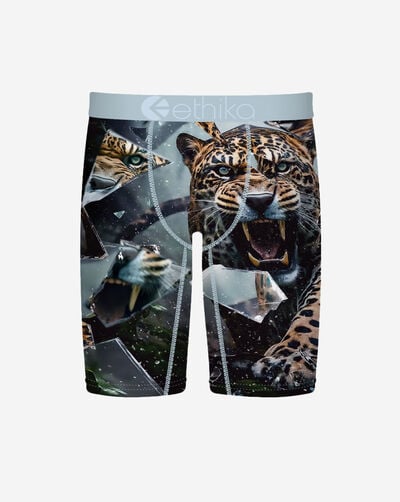 Grade School Shatter Cat Briefs