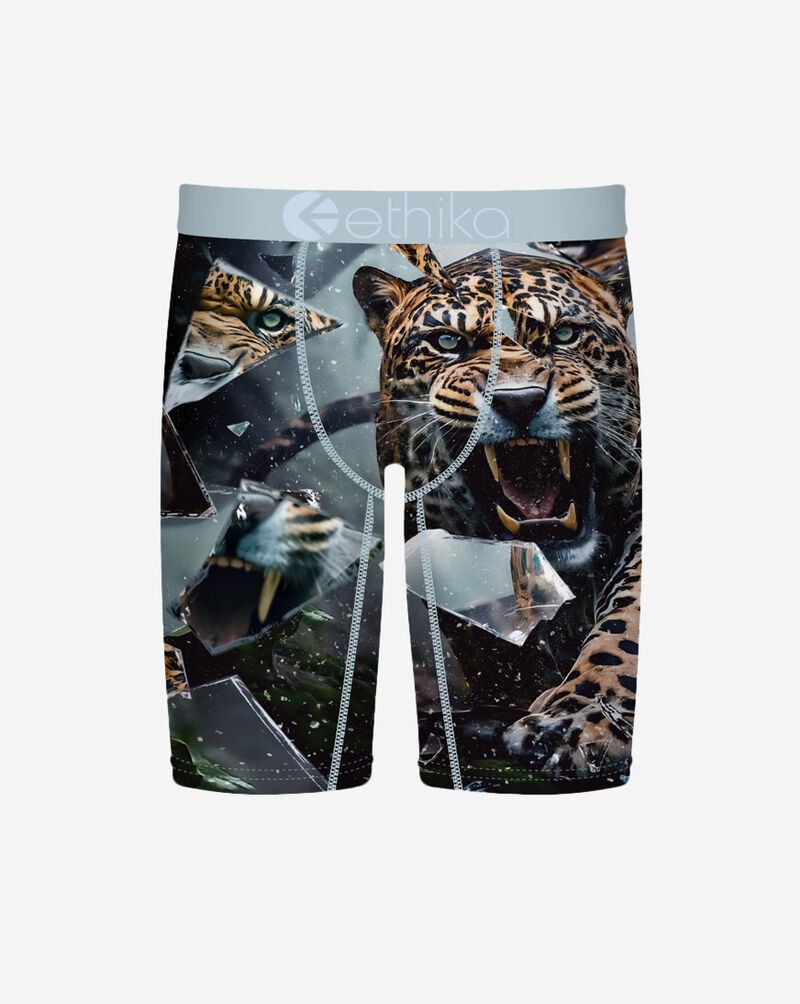 Ethika Grade School Shatter Cat Briefs BFAAAI2513 Multi 1