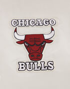 PRO STANDARD Chicago Bulls Retro Classic Rib Satin Jacket BCB656009-ERD cream 2