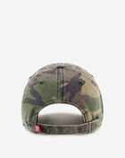 Washington Nationals Dad Cap