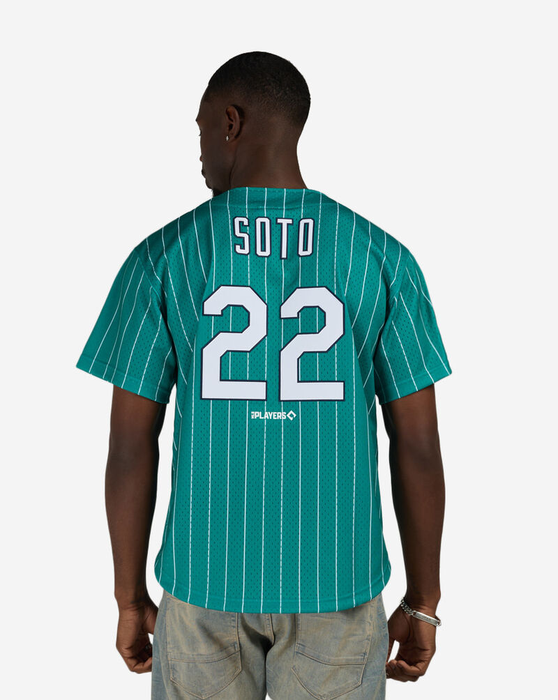 Mitchell  Ness New York Lincoln Giants Juan Soto Authentic Batting Practice Pinstripes Jersey JY19311-NLGDTWH Blue 2