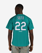 Mitchell  Ness New York Lincoln Giants Juan Soto Authentic Batting Practice Pinstripes Jersey JY19311-NLGDTWH Blue 2