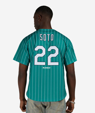 New York Lincoln Giants Juan Soto Authentic Batting Practice Pinstripes Jersey