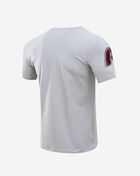 PRO STANDARD Philadelphia Phillies Classic Chenille Tee  LPH131611-GRY Grey 3