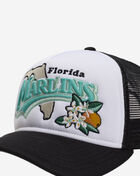 9Forty A-Frame Florida Marlins State Flower Snapback Hat
