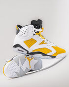 Air Jordan 6 Retro