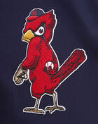 St. Louis Cardinals Classic Chenille Double Knit Pull Over Hoodie