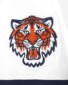 PRO STANDARD Detroit Tigers Classic Chenille Double Knit Pull Over Hoodie  LDT135076-WMN White 4