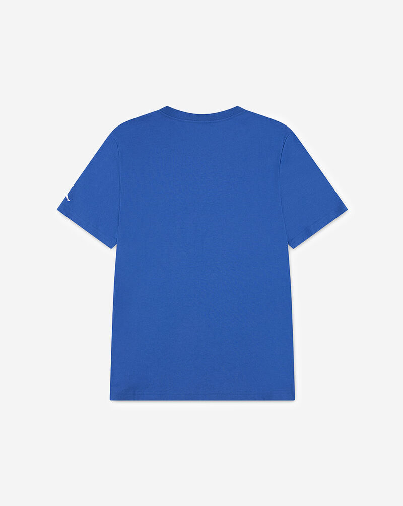 Jordan Big Kids' Goat Tee 95F314-BB7 Blue 3