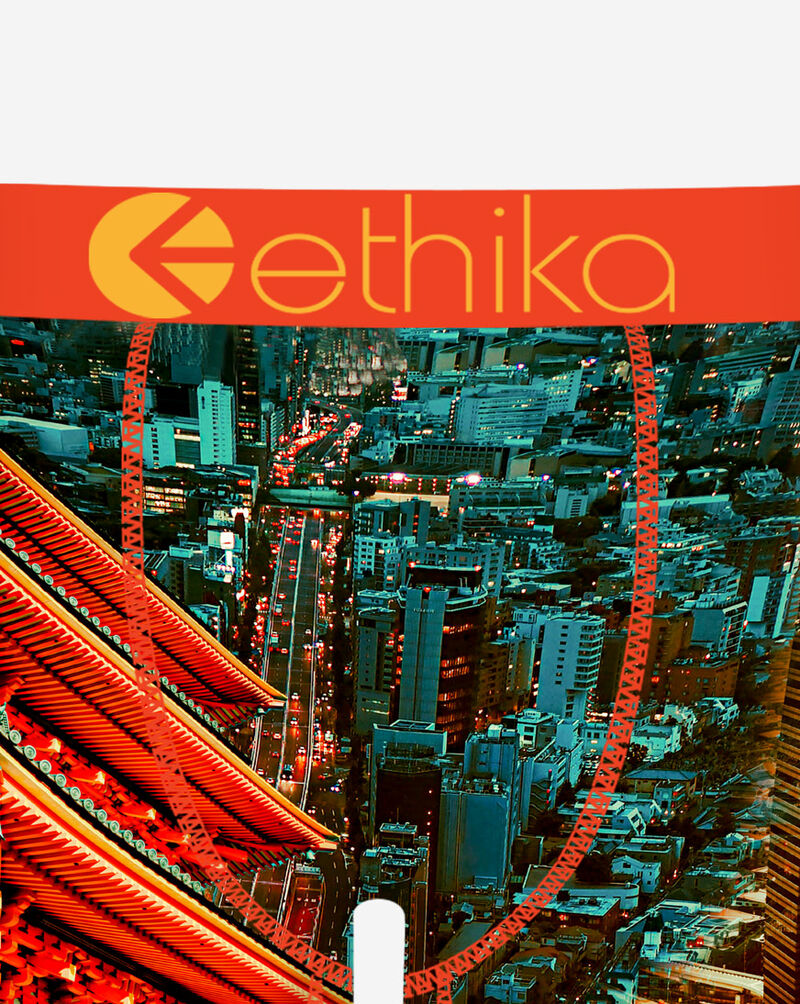Ethika Lets Go Briefs  MHOAAJ2507 Multi 2