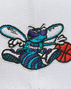 Charlotte Hornets Fast Times Snapback Hat