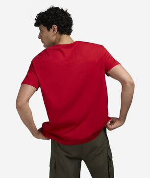 Holiday Bear Graphic Tee