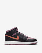 Grade School Air Jordan 1 Mid SE