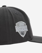 9Fifty Philadelphia Eagles A-Frame Snapback Hat